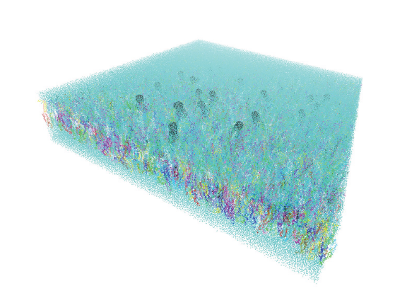 A image of the simulated membrane with millions of atoms