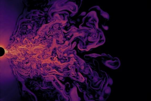 The simulated spatial distribution of plasma density around a black hole 